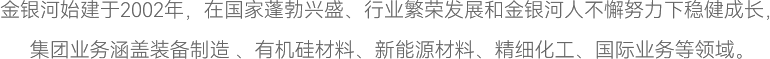 金銀河始建于2002年，在國家蓬勃興盛、行業繁榮發展和金銀河人不懈努力下穩健成長，
集團業務涵蓋裝備制造 、有機硅材料、新能源材料、精細化工、國際業務等領域。
